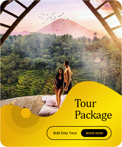 bali-day-tour-package