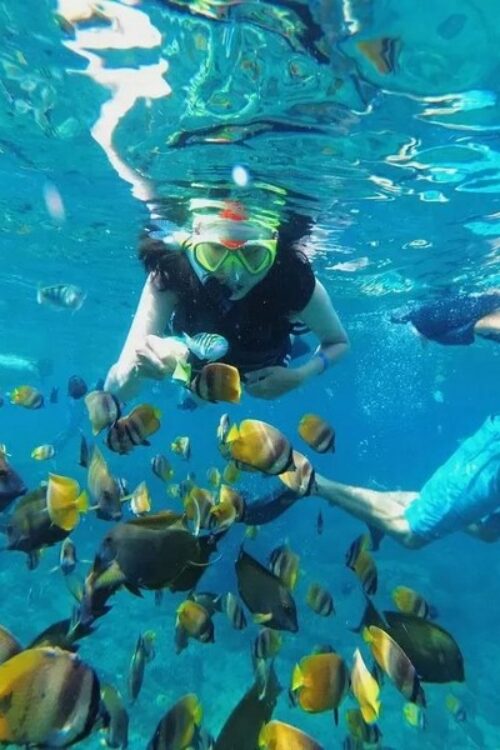 photo - ruket travel - 37
