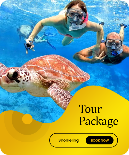 tour-package---snorkeling